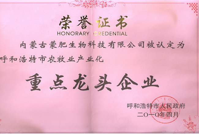 x重点龙头企业.jpg